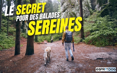 Le secret pour des balades sereines