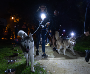 Balade nocturne : 7 km