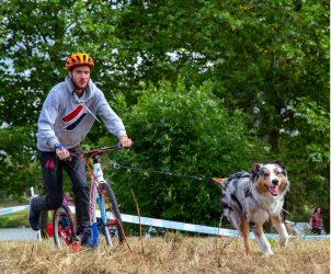 Cani Trottinette