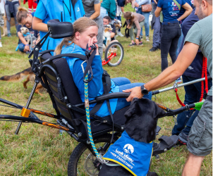 Chien de handicap