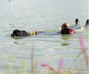 Chiens de sauvetage à l’eau